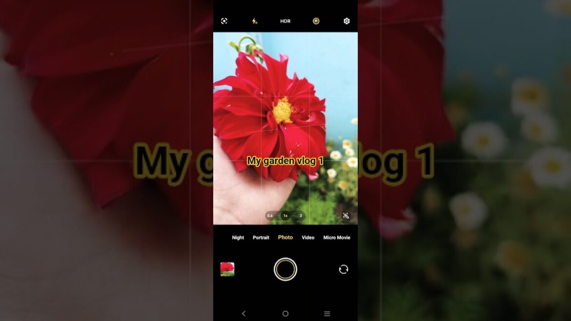 Nature | | Flower 🌺🌼☘️ | | velly of flower #trending #youtubeshorts #nature #flowers #wonderland