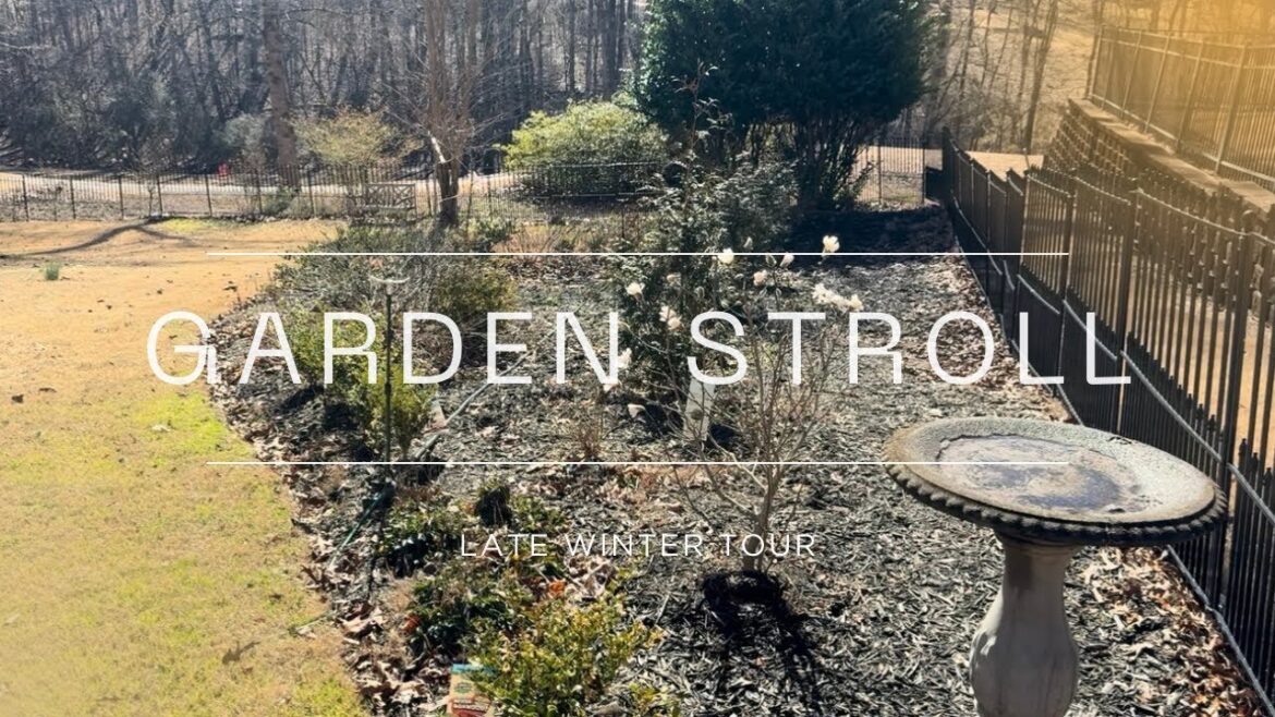 Winter Garden Tour  | Garden ideas | Welcome Home with Adrianne Michelle