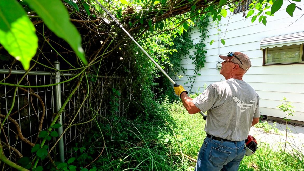 Discovered HIDDEN PATIO And SIDEWALK While Cleaning Up A Garden