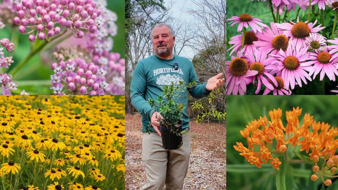 We’re Excited to Finally Jump into the Native Garden We're Excited to Finally Jump into the Native Garden