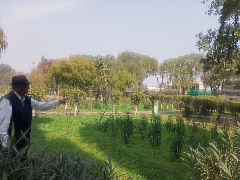 Mohali garden barren amid rose bloom Mohali garden barren amid rose bloom