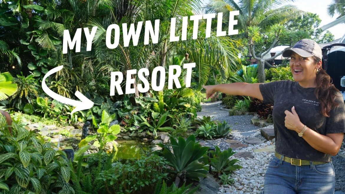 Backyard Tour of a Florida Landscape Designer | Plants That Last! Backyard Tour of a Florida Landscape Designer | Plants That Last!