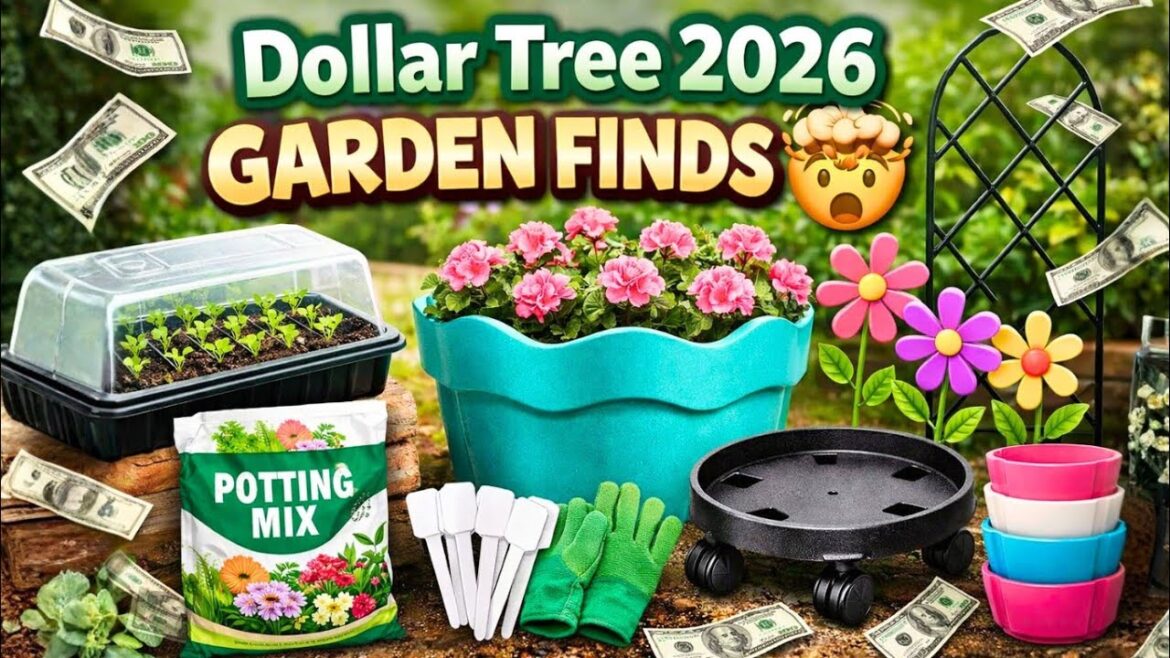 10 NEW Dollar Tree Garden Finds That Actually Work (Spring 2026) 10 NEW Dollar Tree Garden Finds That Actually Work (Spring 2026)