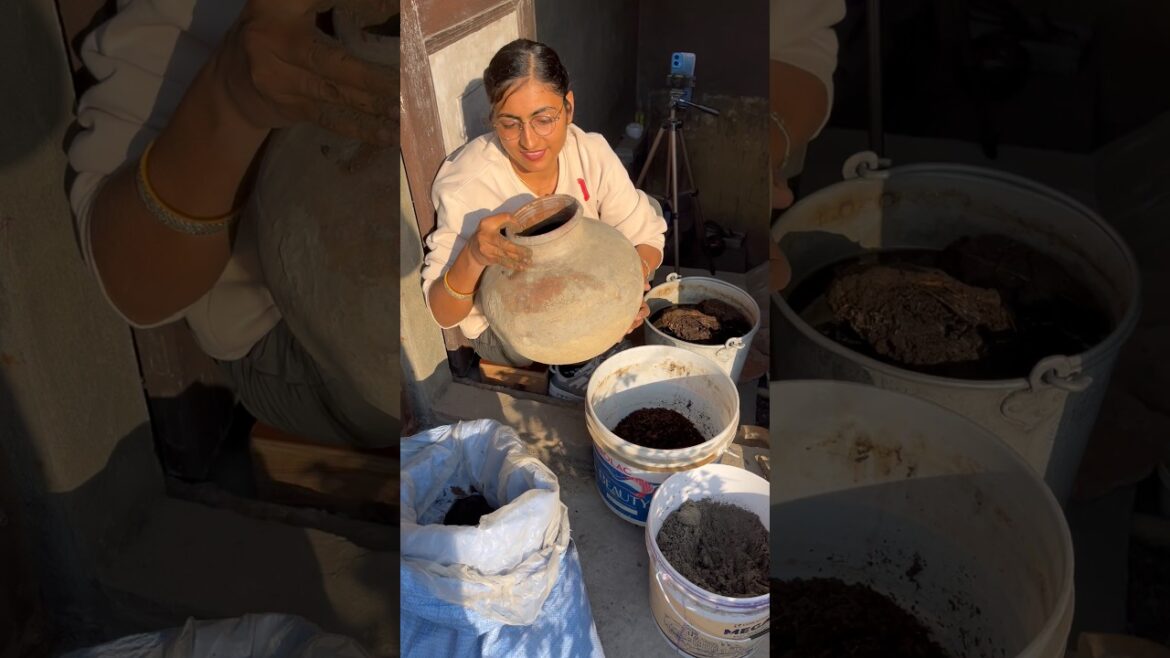 Best idea for vegetables #terracegarden #food #vegetables #gardening #shorts @OrganicGardening1918 Best idea for vegetables #terracegarden #food #vegetables #gardening #shorts @OrganicGardening1918