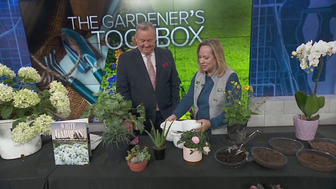 The Gardener's Toolbox: 2026 Garden and Landscape Trends
