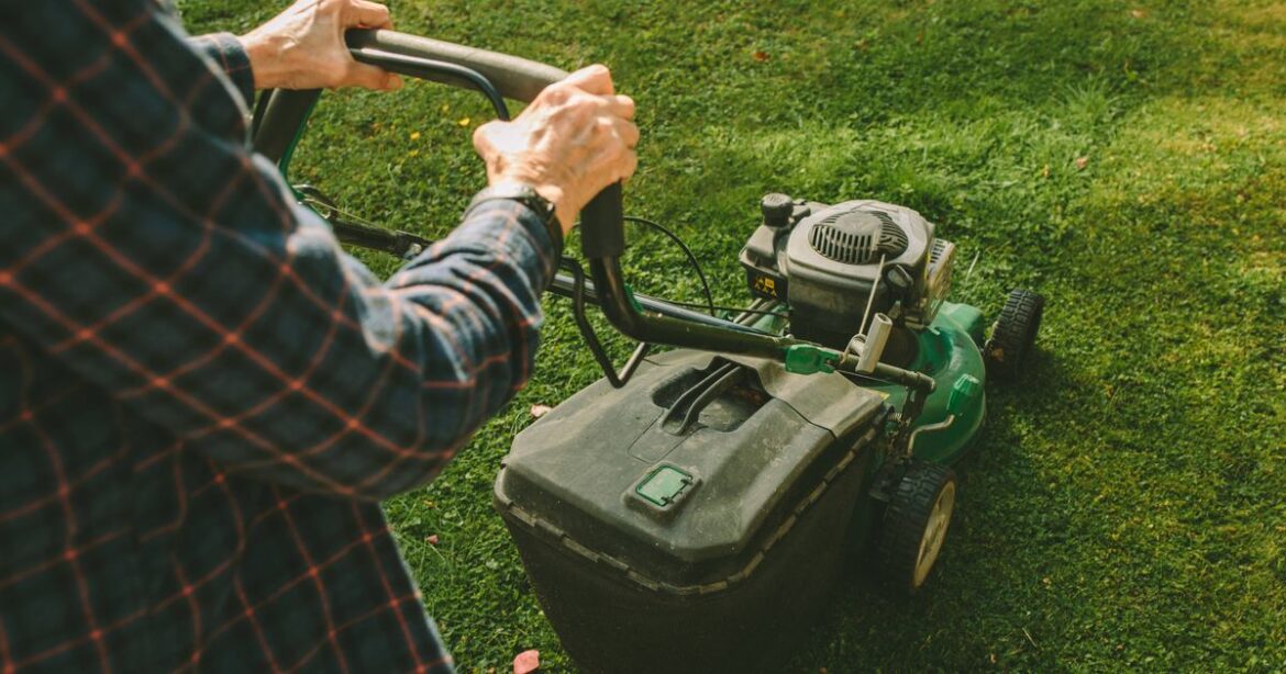 When Brits should start mowing their lawns in 2026 — it’s just around the corner Daily Mirror