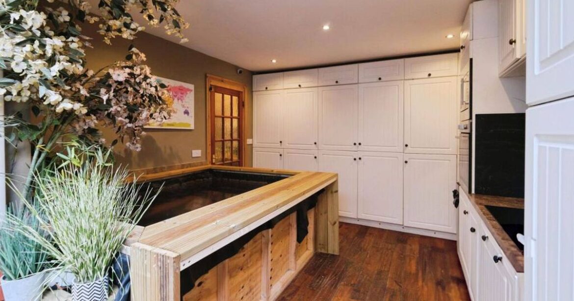 £425k Torquay house with indoor pool has peculiar kitchen feature Devon Live