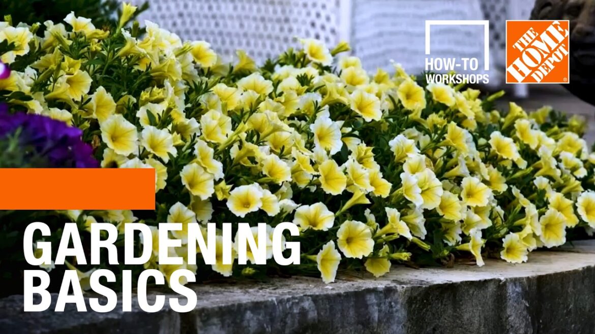 How-To Workshops - Gardening Basics | The Home Depot