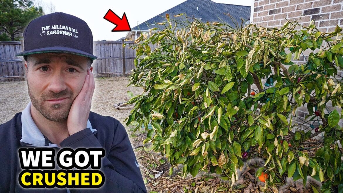 We Got CRUSHED! We Got CRUSHED!