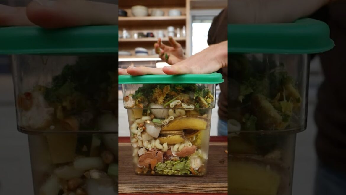 stop throwing out your food! stop throwing out your food!