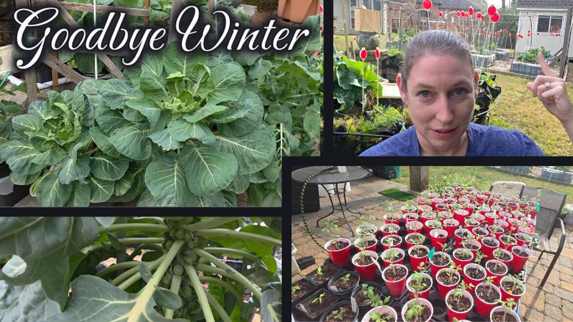 Final Winter Garden Tour | Freeze Damage & Early Spring Plans