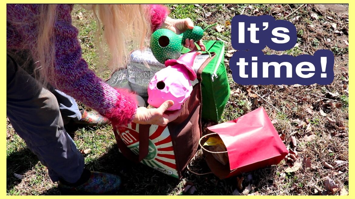 Kaye Kittrell: Time to Hang #GOURD Birdhouses! (see which ones I bought!) Time to Hang #GOURD Birdhouses! (see which ones I bought!)