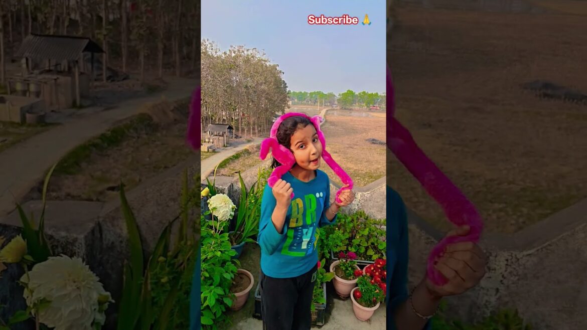 Kutuma kutu #garden #gardening #flowers #nursery #UpdateGardening #chadbagan