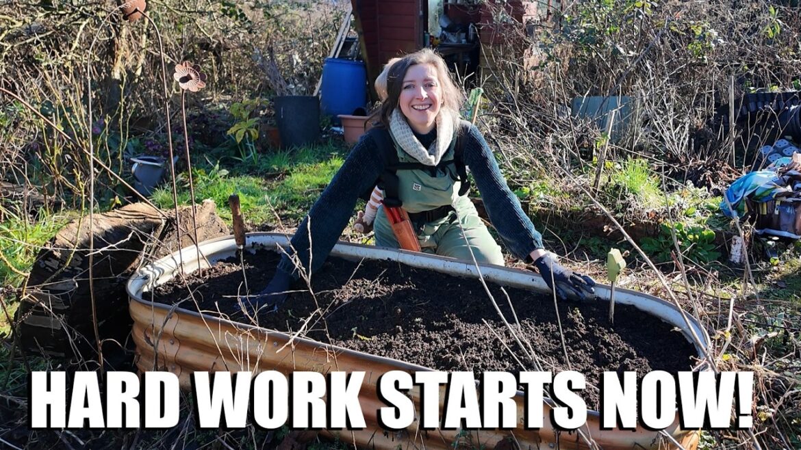 Saving my allotment garden