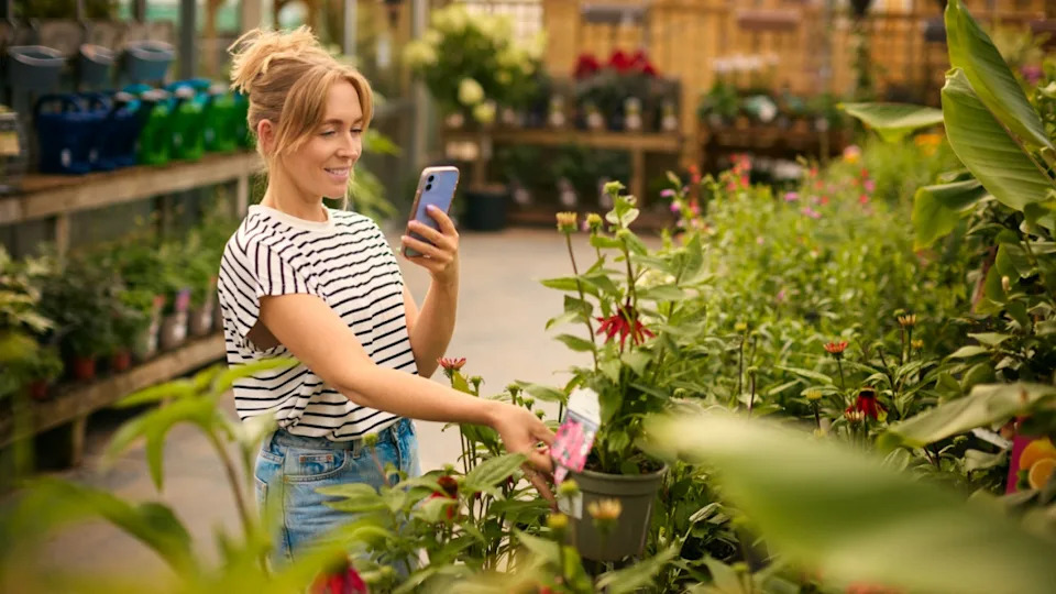 Woman Inside Greenhouse In Garden Centre Taking Picture Of Red Echinacea Plant On Mobile Phone