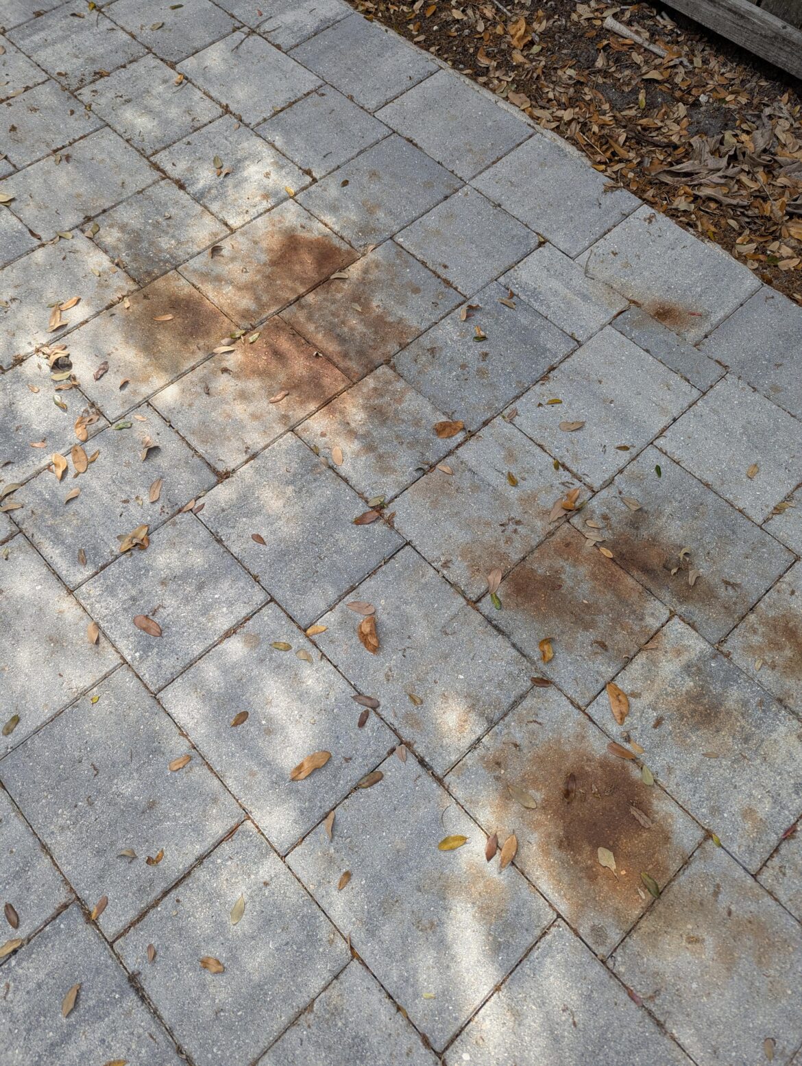 Removing paver stains