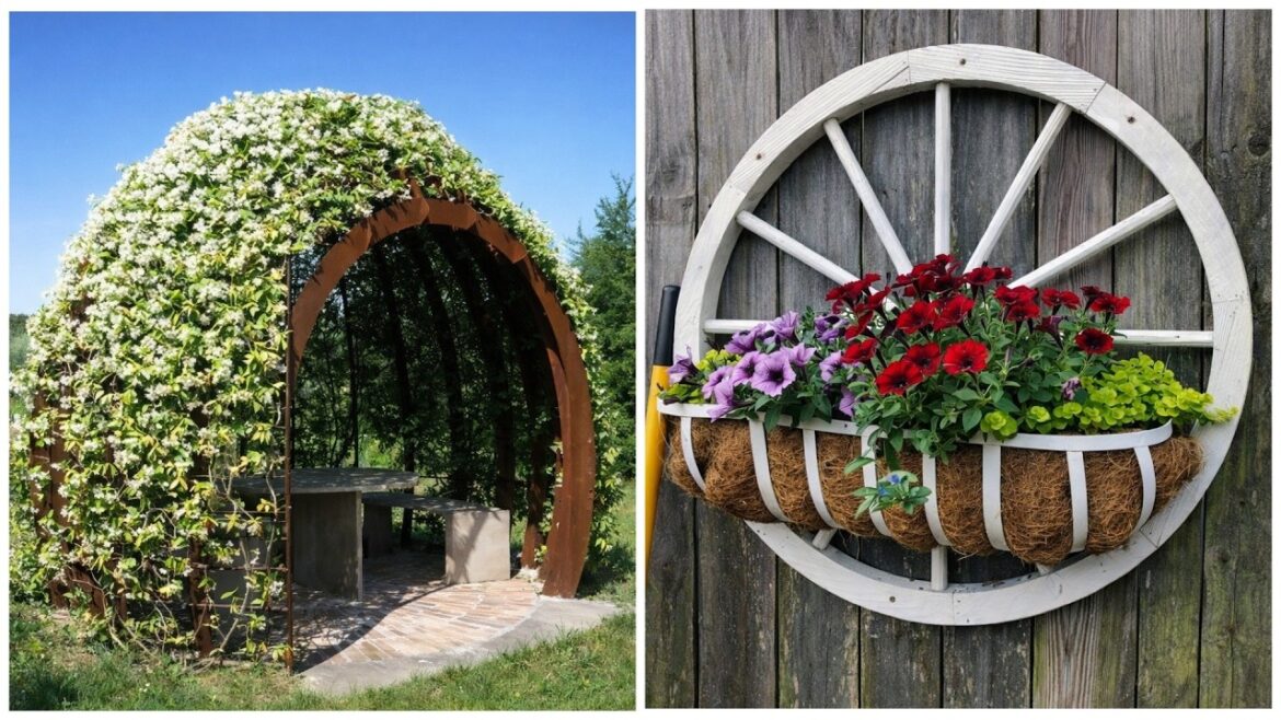 👀 ✨ I Didn’t Expect These Garden And Backyard Ideas to Look This Good! 👀 ✨ I Didn’t Expect These Garden And Backyard Ideas to Look This Good!