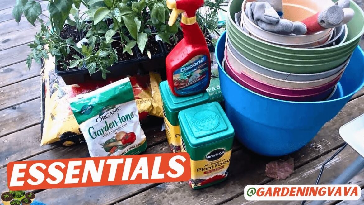 Essential Gardening Tools for Beginners: A Complete Guide | #Gardeningvava Essential Gardening Tools for Beginners: A Complete Guide | #Gardeningvava