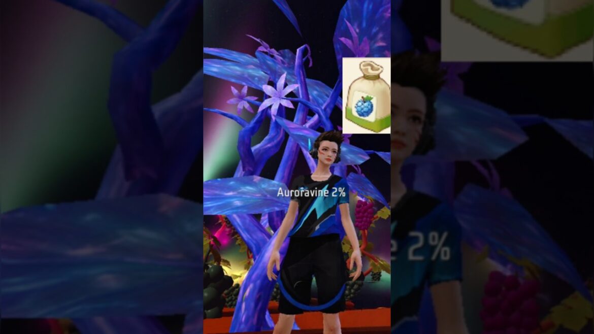 Aurora vine seed in free garden || #trending