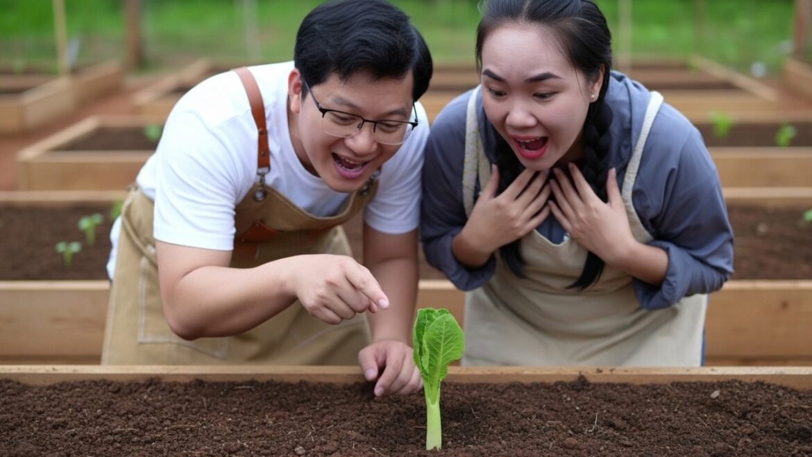 After Tet, Jack & Tu Tien Rebuild the Vegetable Garden — A Fresh Start Together