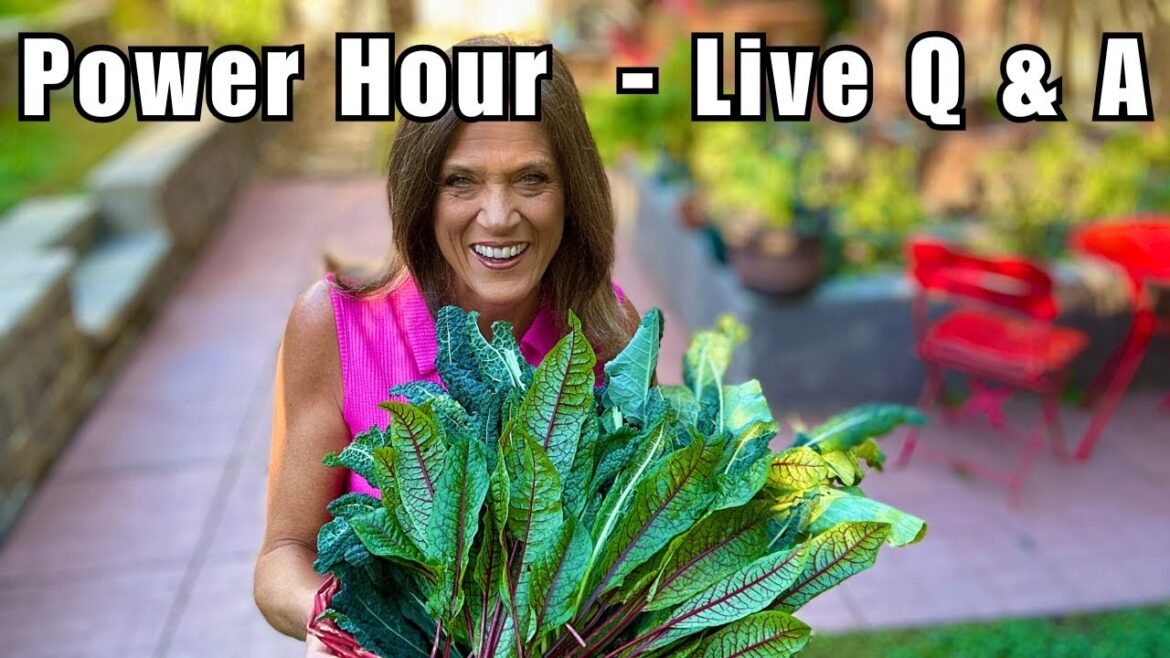 LIVE: Garden Power Hour — Q&A With CaliKim