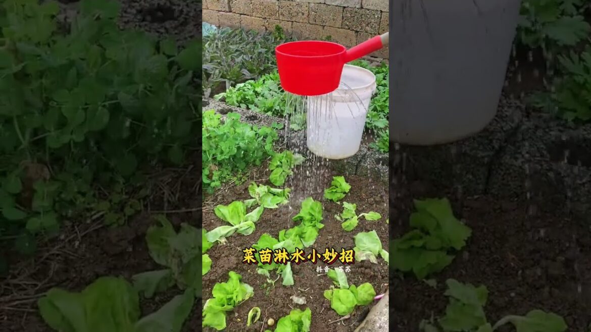 Master Vegetable Gardening: Pro Watering Tips for Sprinklers