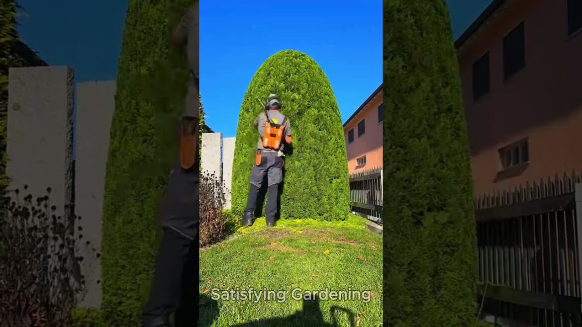 Satisfying Gardening Work 🌳 #garden #cleaning #grass #lawn #viral #fyp