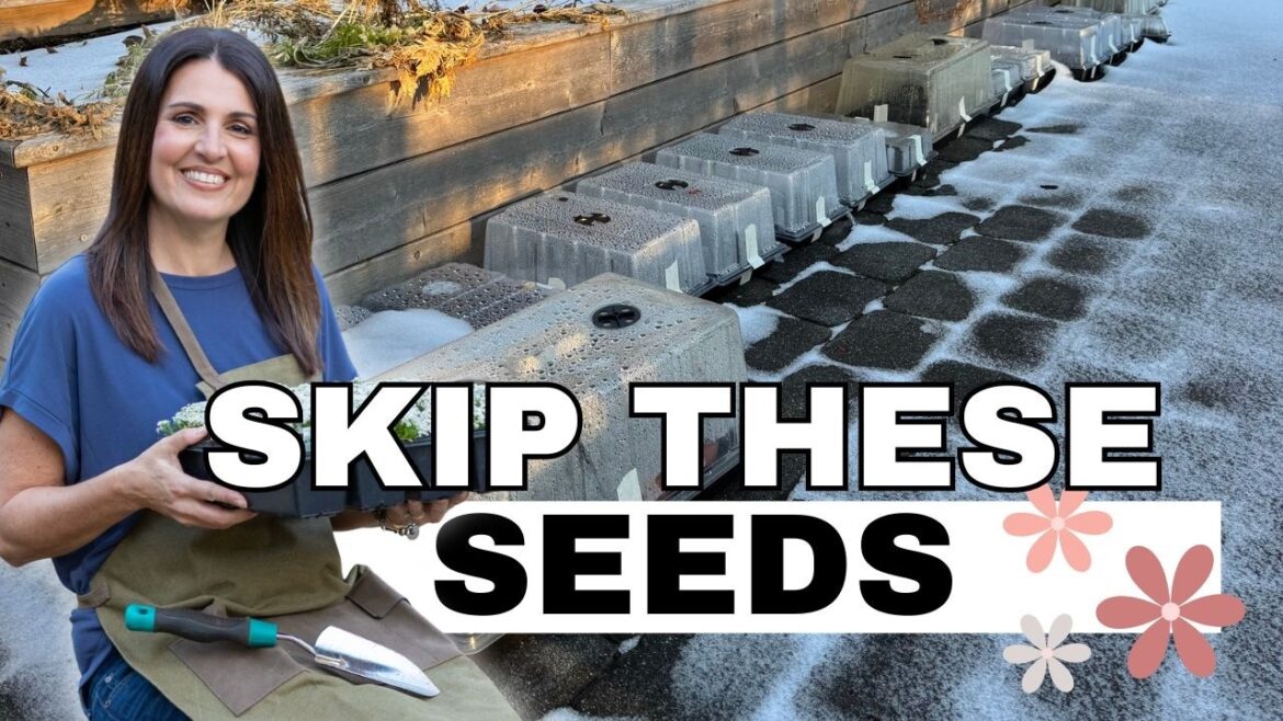 What NOT to Winter Sow (Save Your Seeds & Time)