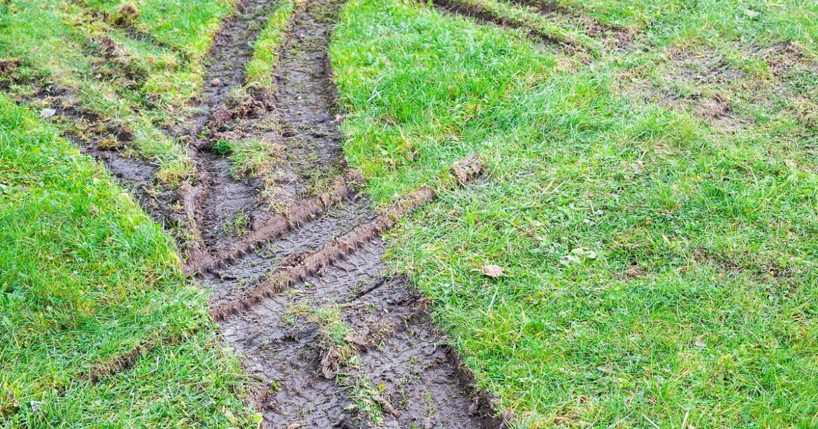‘Unhinged neighbour keeps driving on street’s communal garden so I’m plotting revenge’ Bristol Live