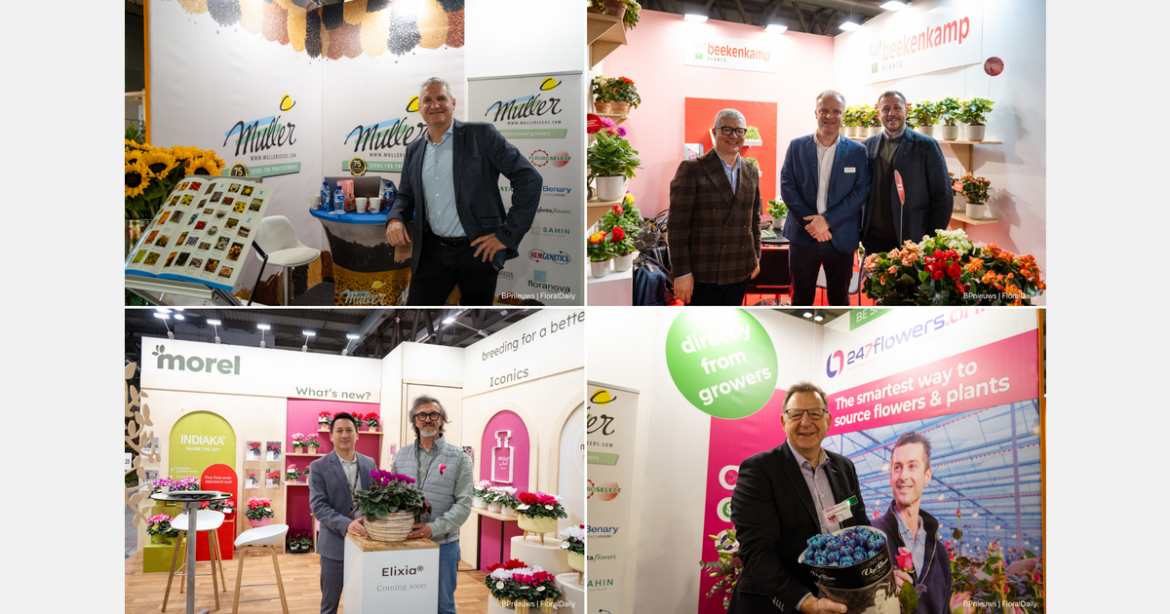 cut flowers, succulents and ice skating cut flowers, succulents and ice skating