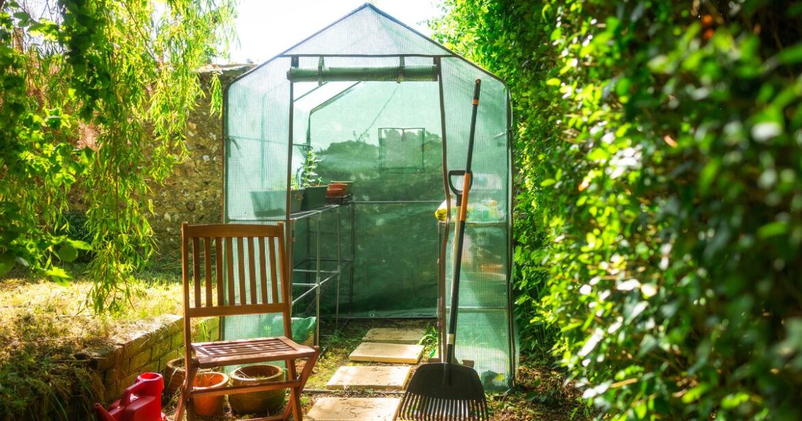 Expert gardener shares how to refresh your garden this winter RSVP Live