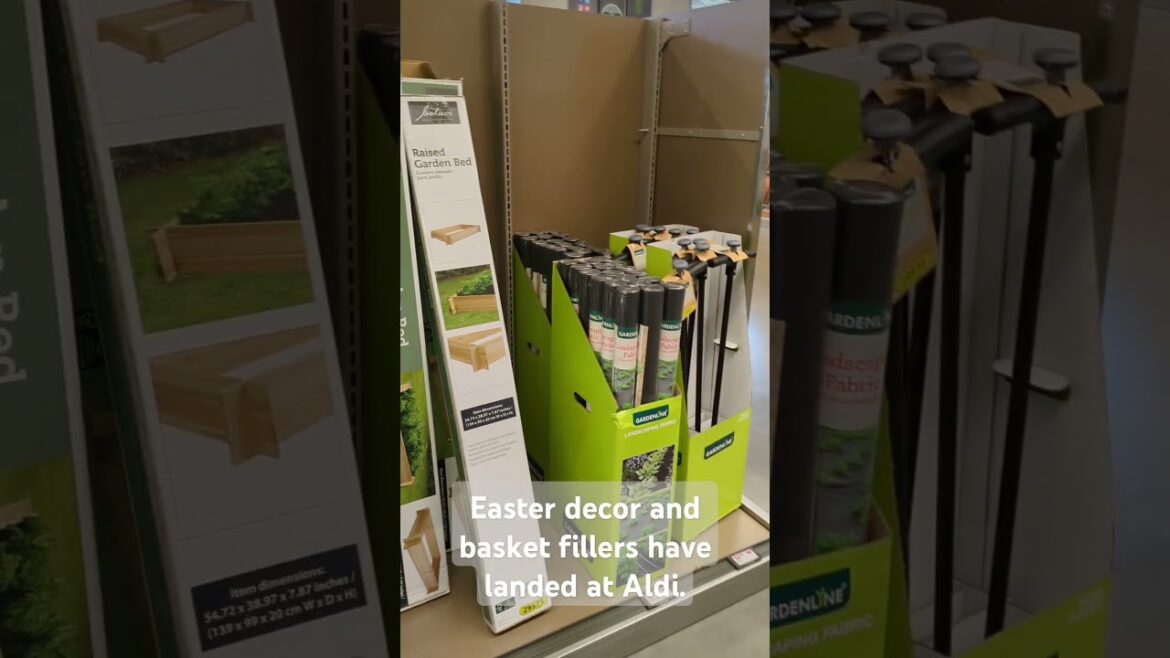 Toys, flocked bunnies, teapots, gardening supplies, and more are at Aldi this week.