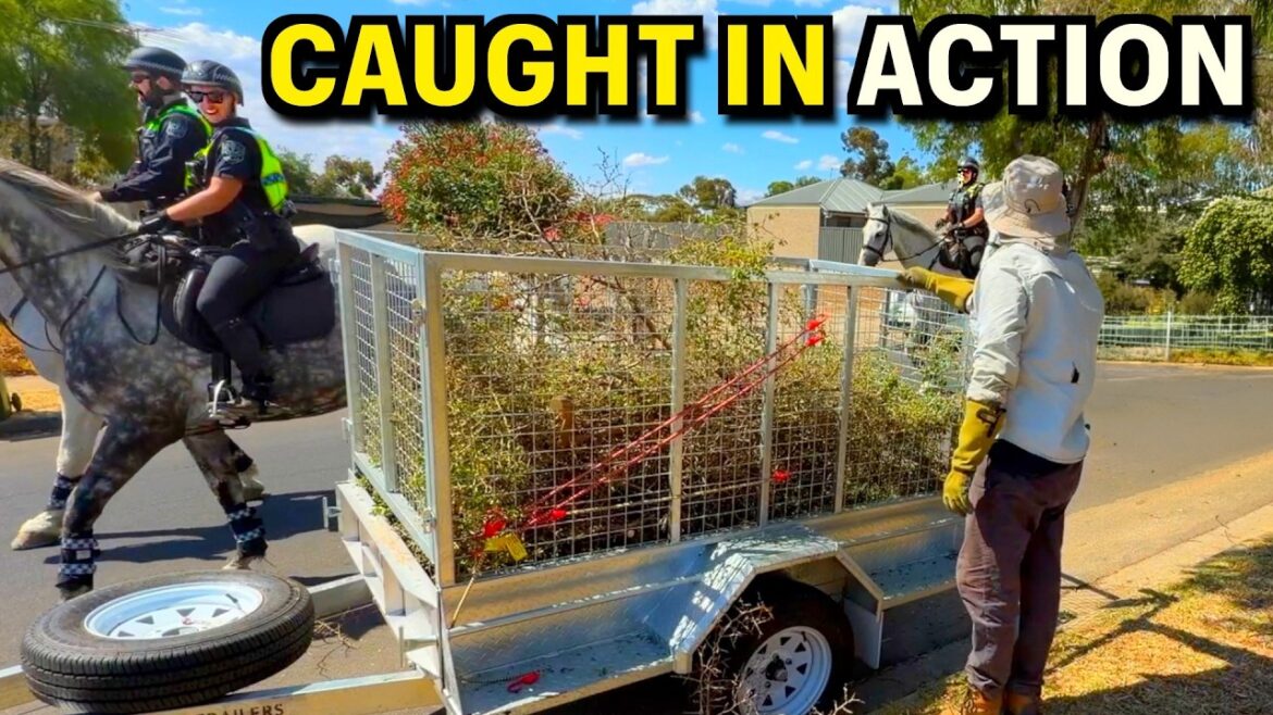 I CAN’T BELIEVE What These Neighbors Put Up With – EXTREME FREE MAKEOVER I CAN'T BELIEVE What These Neighbors Put Up With - EXTREME FREE MAKEOVER