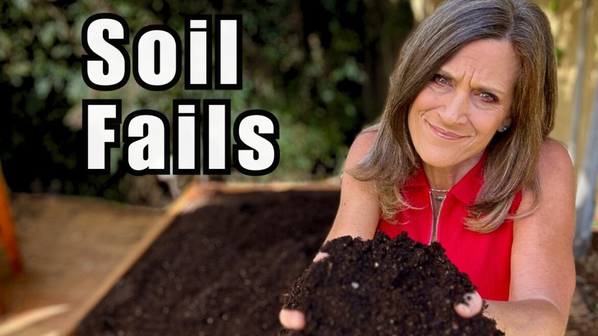 Most Raised Bed Soil Turns Into Junk – Here’s Why