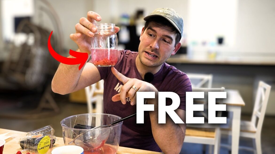 MIgardener: Get FREE Blackberries & Raspberries With This Trick Get FREE Blackberries & Raspberries With This Trick