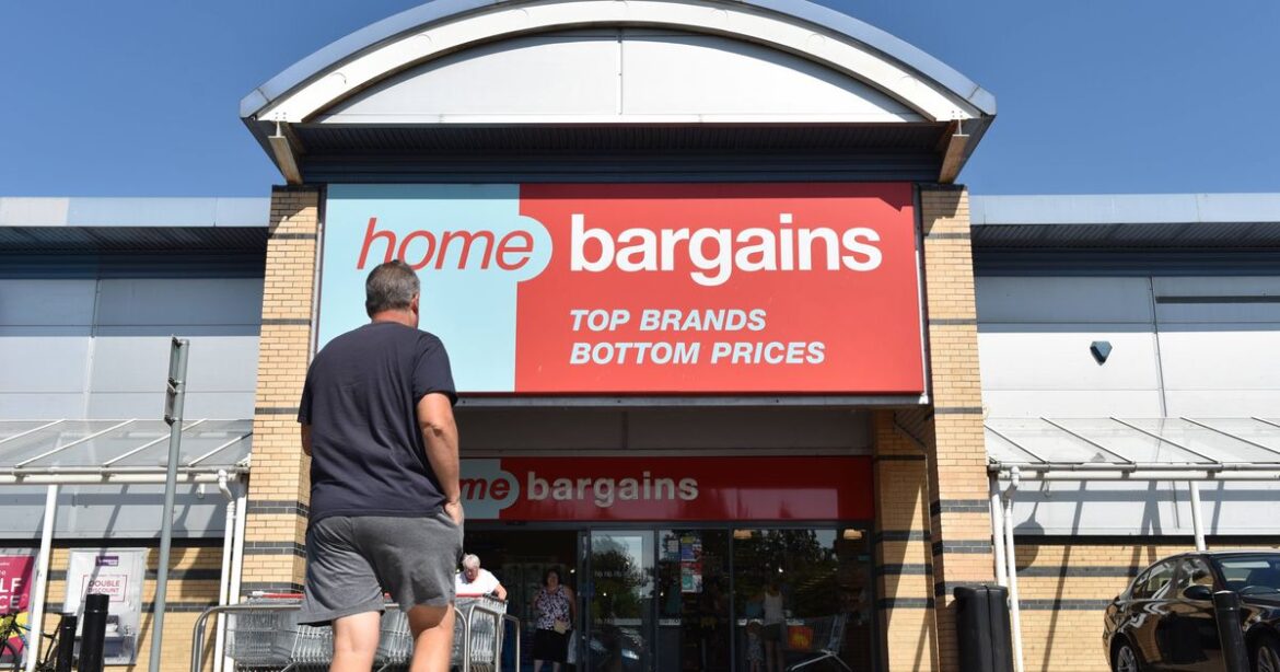 ‘Gardens look visually striking’ with £6 Home Bargains ‘twinkle’ light that’s free to run Liverpool Echo