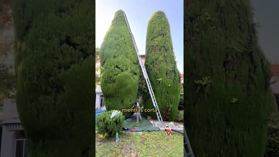 Perfect Garden Hacks with this tool! 🌳 #Gardening #Tips