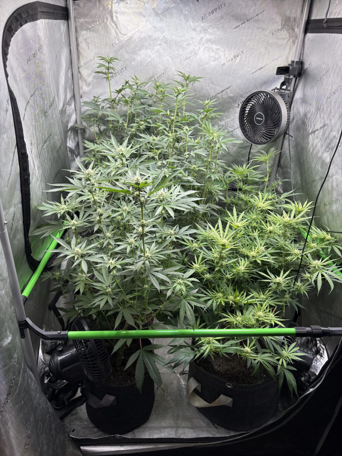 Soilless too feed swap for Air Cube