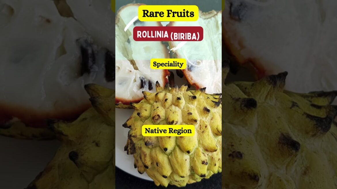 Rarest Fruits around the World