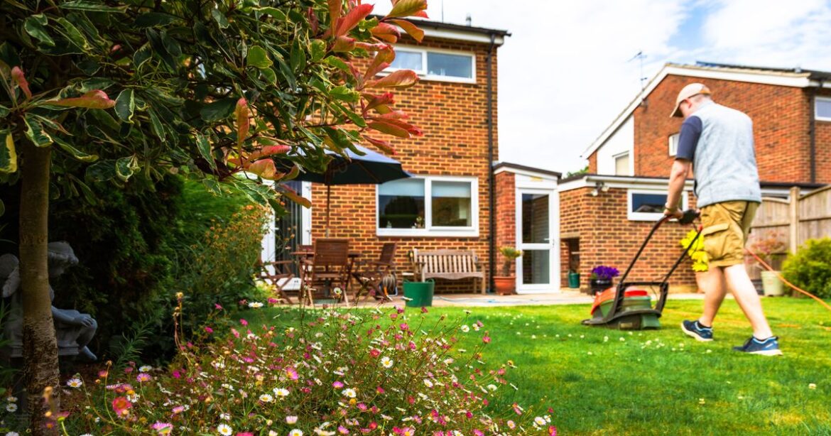 The exact date you should mow your lawn for first time this year Manchester Evening News
