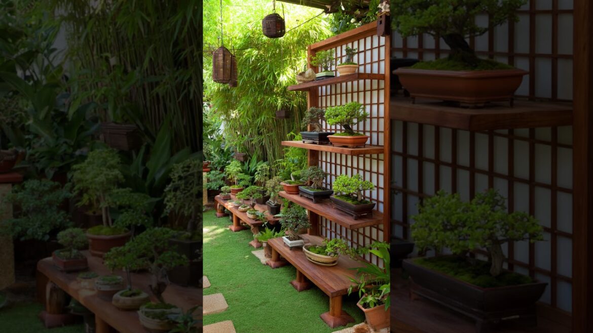 Japan Small Garden Ideas That Transform Tiny Spaces #shorts Japan Small Garden Ideas That Transform Tiny Spaces #shorts