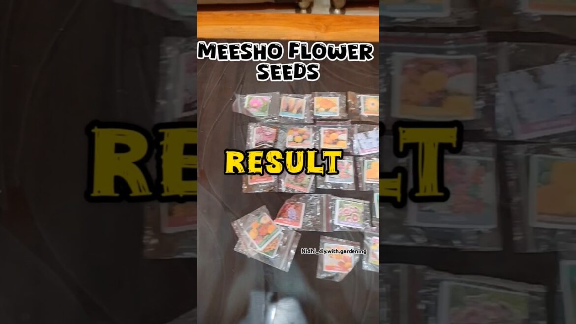 meesho flower seeds result👍#trending #shorts #shortvideo #viralshort #gardening #garden #gardenideas