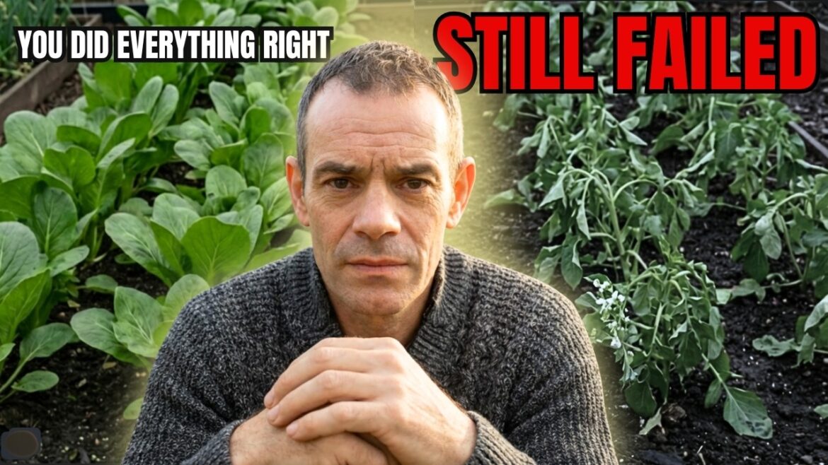 Garden Plans Falling Apart? Here's What You're Missing