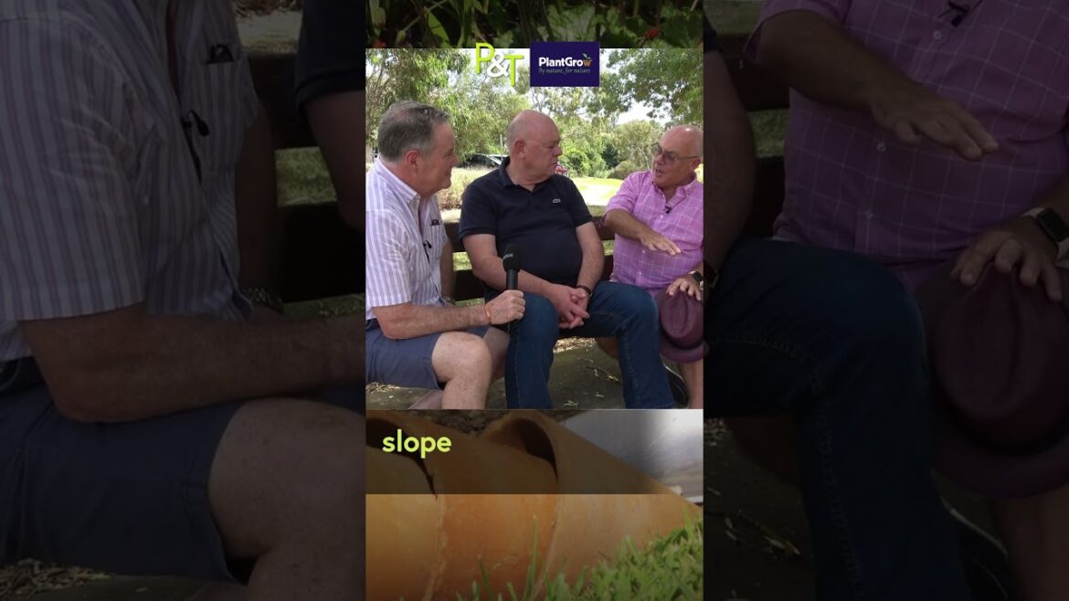 South Australian gardeners talk about how they put the plans together for a garden split into rooms