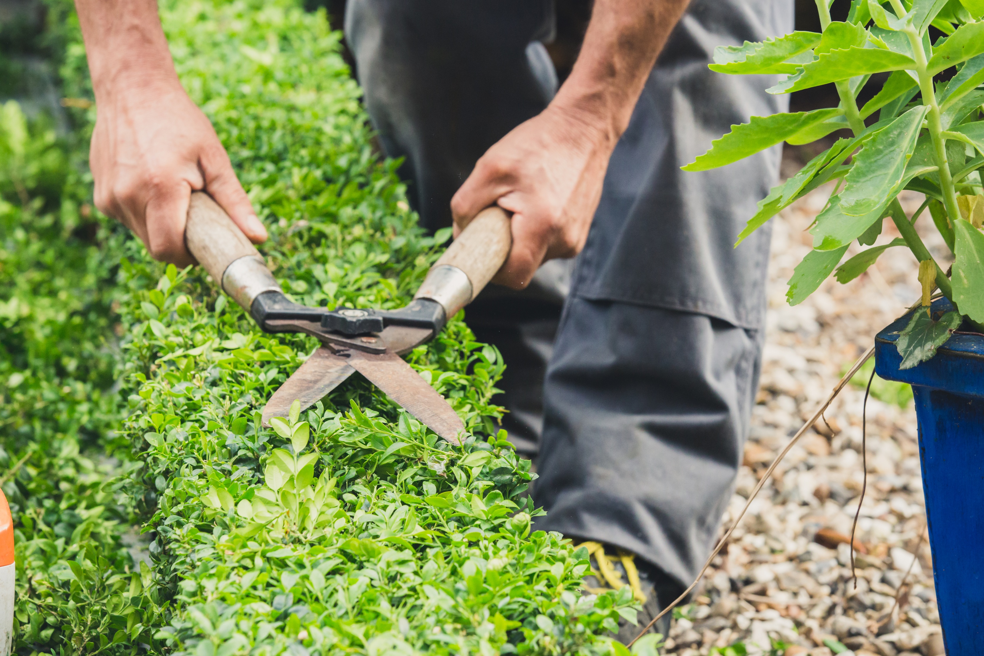 New Fantastic Gardeners Data Reveals the Real Garden Stress Trigger For Londoners