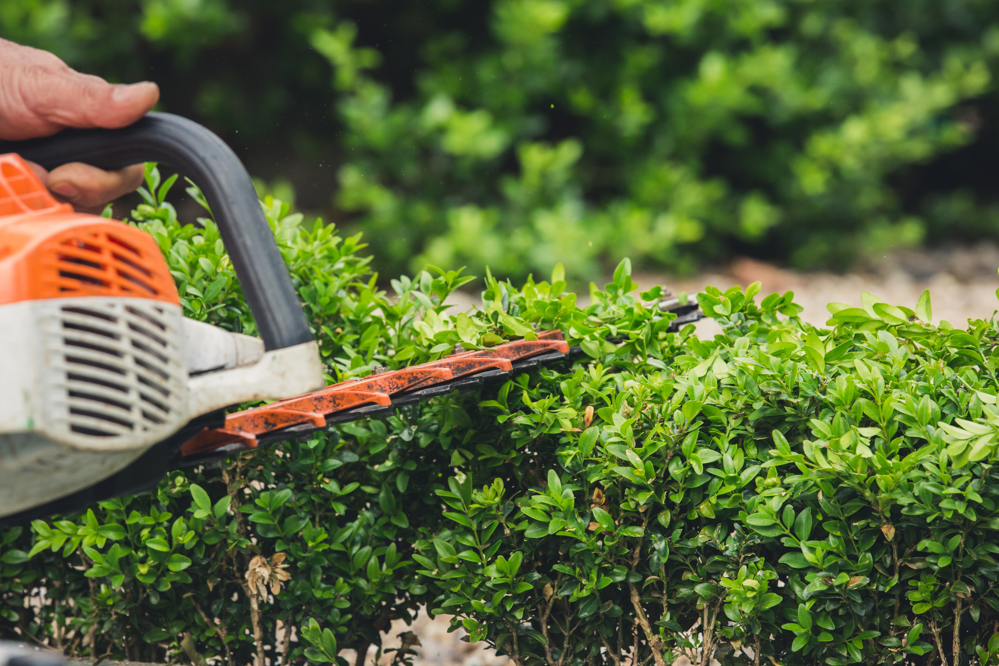 New Fantastic Gardeners Data Reveals the Real Garden Stress Trigger For Londoners