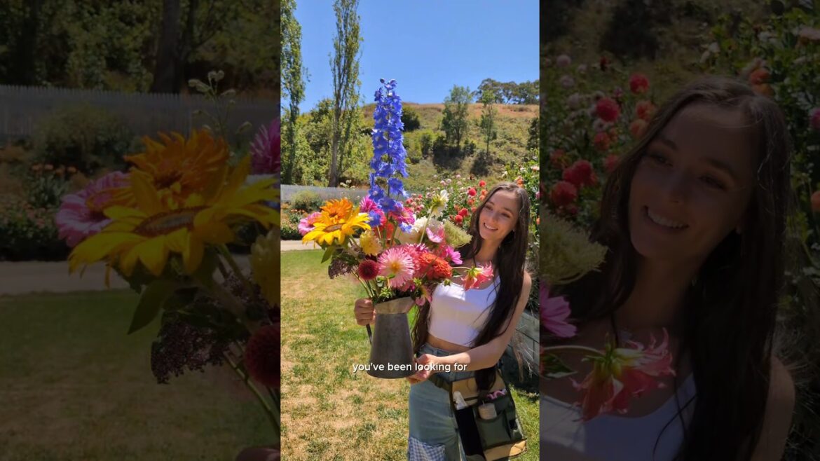 For anyone in or near Adelaide, South Australia… HELLO magical must-try activity! 😍🌼🩷✨ #adelaide For anyone in or near Adelaide, South Australia... HELLO magical must-try activity! 😍🌼🩷✨ #adelaide