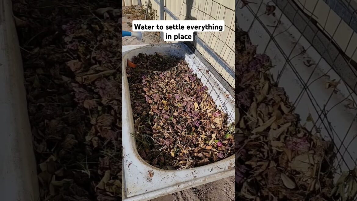 Here's how you can repurpose your old bathtub! #gardening #gardenbed #lifehacks #gardentips #shorts