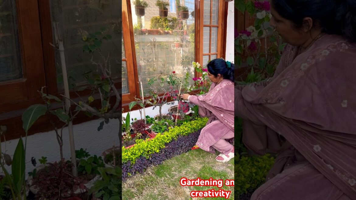 Home gardening tips #homegardening #gardening#plants #flowergarden #flowers#outdoorplants #shorts
