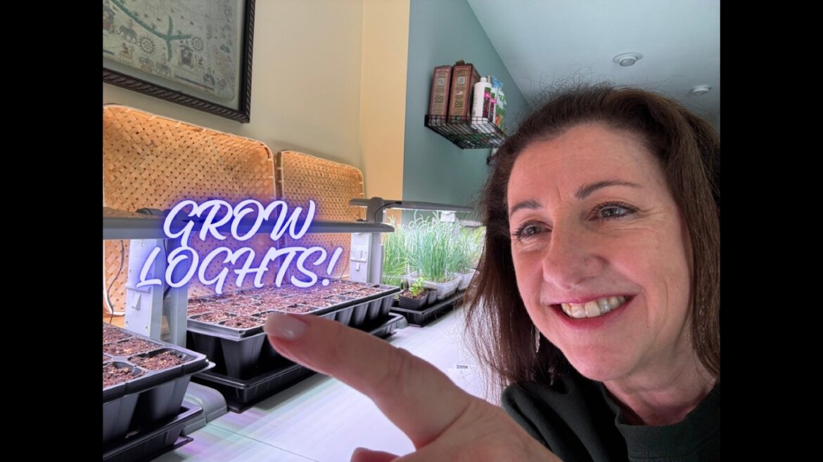 Dobos Farms (In The Garden) #growlights #gardening #vegetablegardening Dobos Farms (In The Garden) #growlights #gardening #vegetablegardening